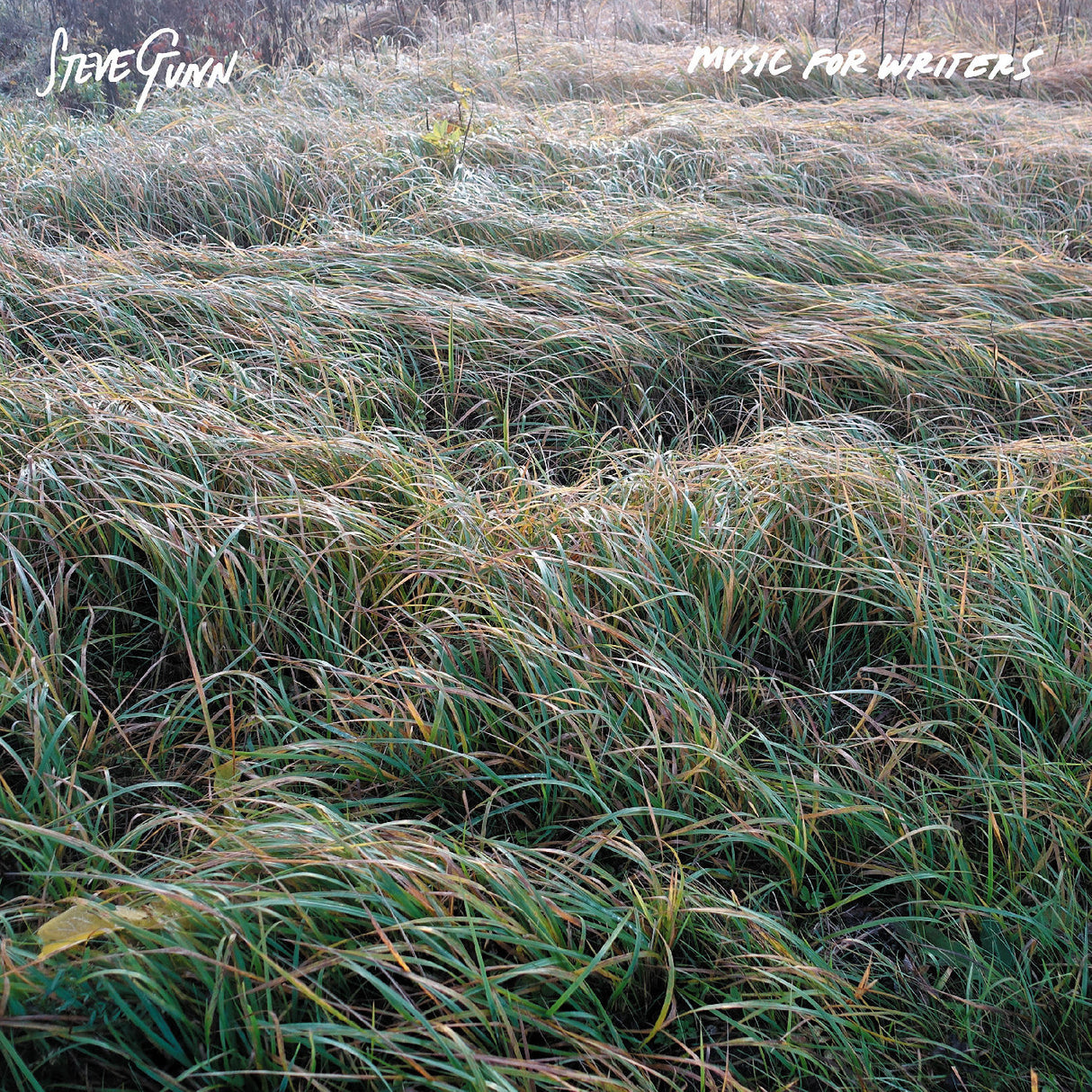 Music For Writers (CD)