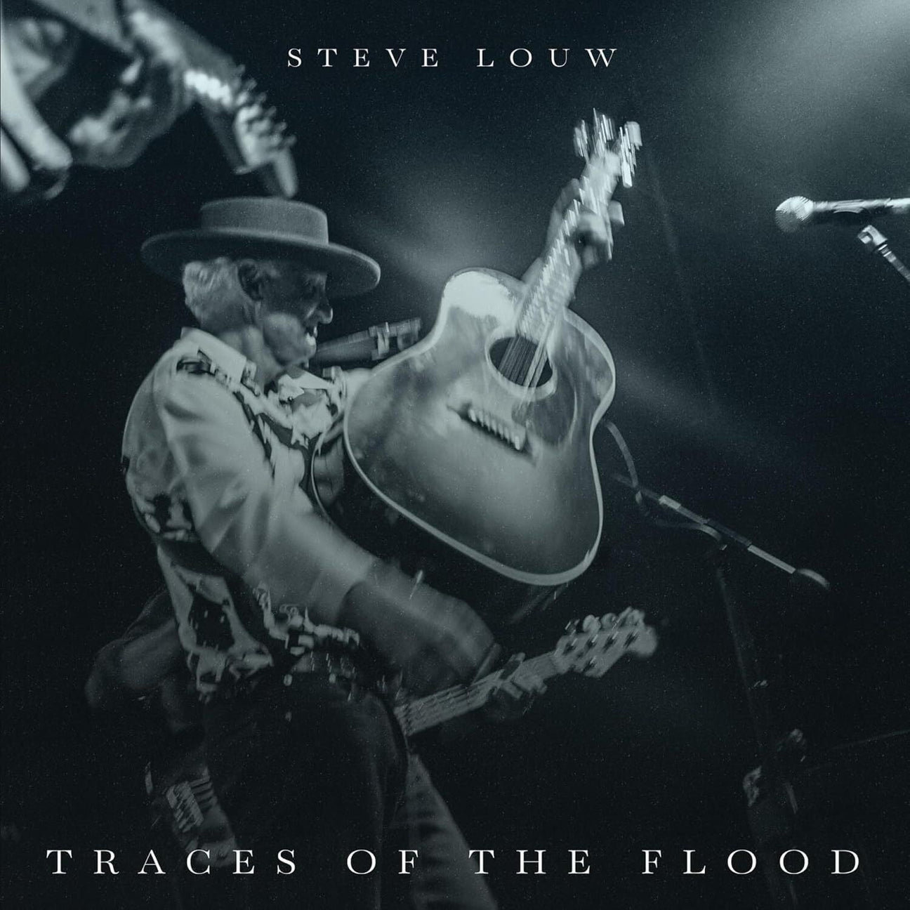 Steve Louw - Traces Of The Flood [CD]