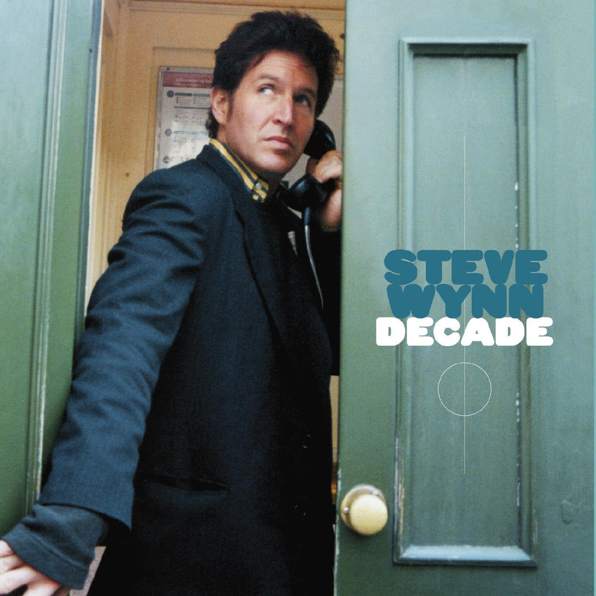 Steve Wynn Decade (11-CD Box Set) [Music CDs]