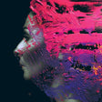 Hand.Cannot.Erase ( 10Th Anniversary Splatter Vinyl 2Lp ) (Vinyl)