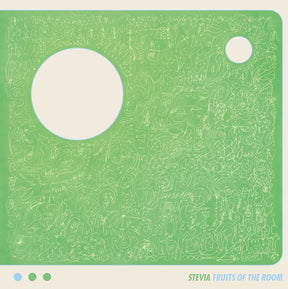 Fruits Of The Room (Vinyl)
