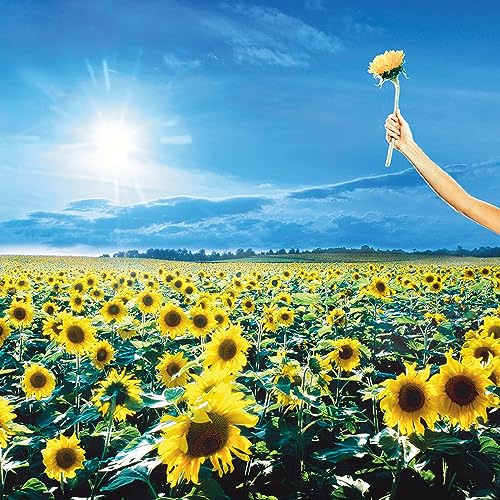 Stone Temple Pilots Thank You [Vinyl]