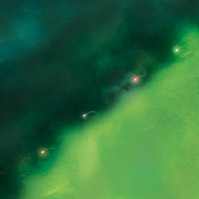 Someday We Will Foresee Obstacles (Vinyl)