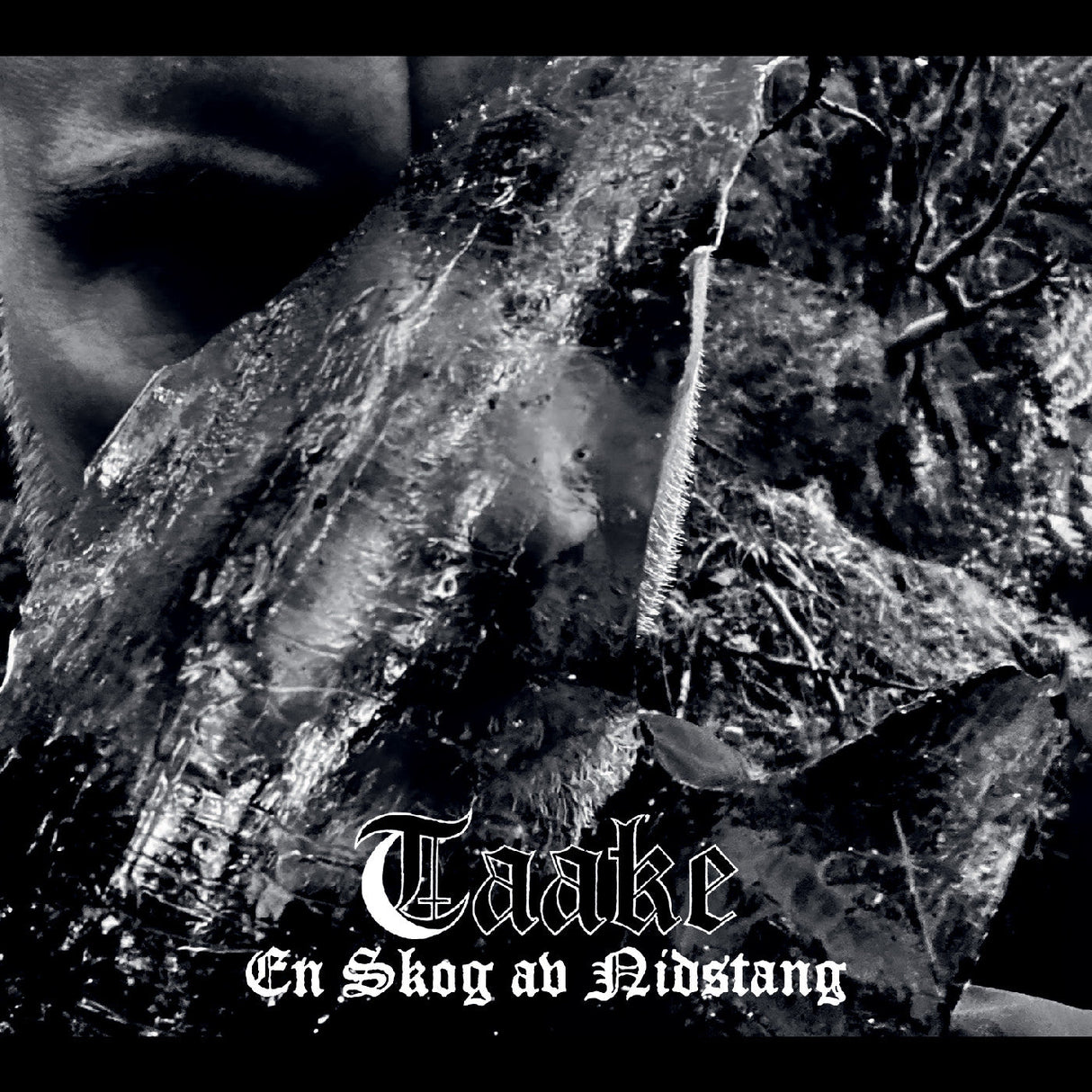 Taake - En Skog Av Nidstang [Vinyl]