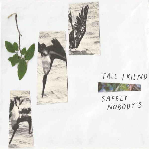 高个子朋友 Safely Nobody's [唱片和 LP]