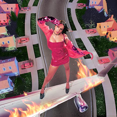 I Used To Think I Could Fly (CD)
