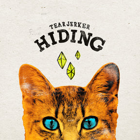 Hiding - 12" (Vinyl) - Apocalypse Vinyl