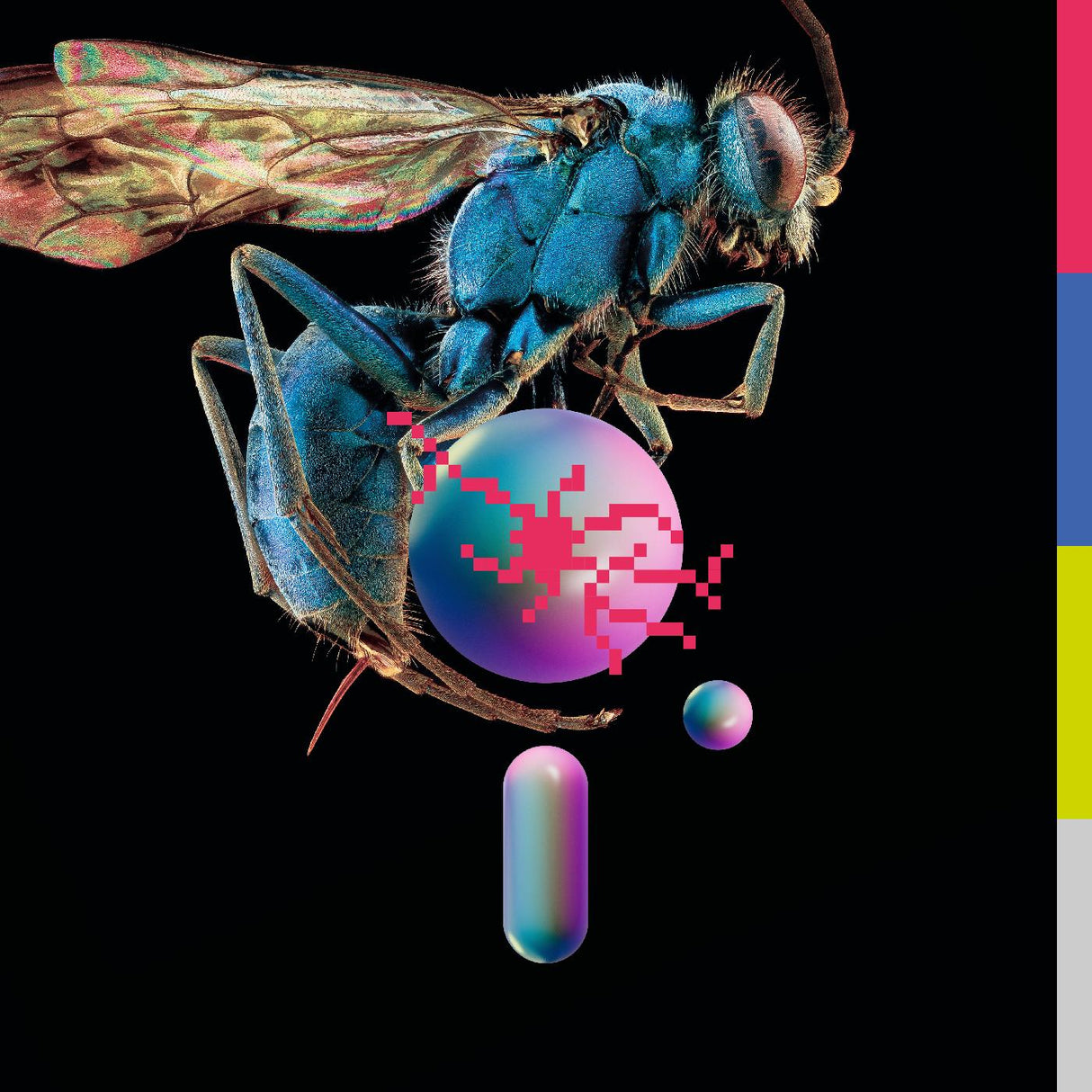 Hive (CD)