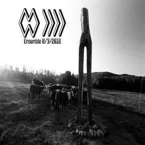 Ensemble 8/3/2016 (Vinyl) - Apocalypse Vinyl