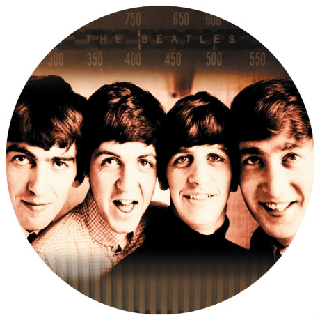 The Covers (Limited Edition, Picture Disc Vinyl) [Import] (Vinyl)