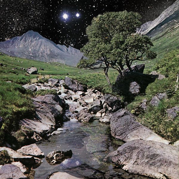 The Beta Band (Deluxe Edition) (CD)