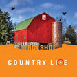 Country Life (GREEN & ORANGE VINYL) (Vinyl) - Apocalypse Vinyl
