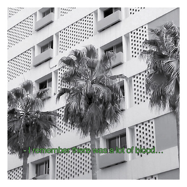 Glitches And Drones 2013-2016 (CD)