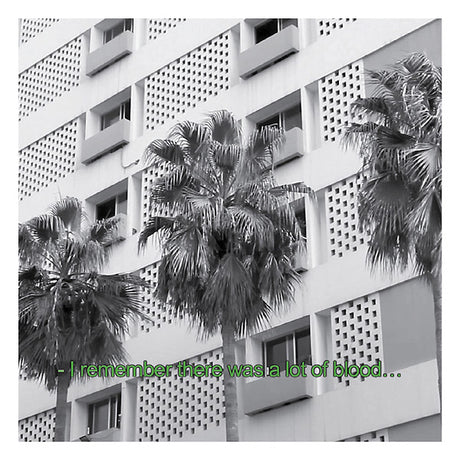 Glitches And Drones 2013-2016 (CD)