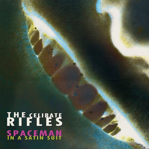 Spaceman In A Satin Suit (Vinyl)