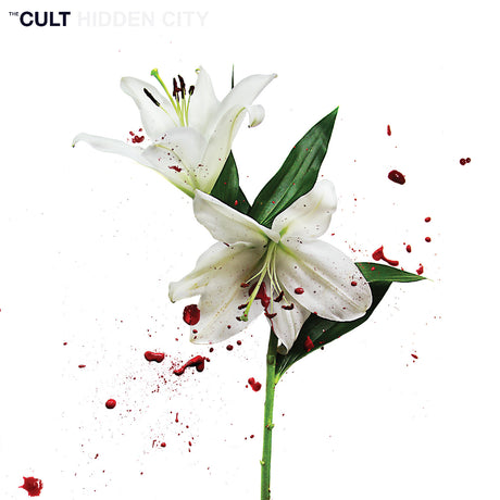 Hidden City (Cv 45 Audiophile Edition) (Vinyl)