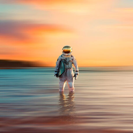 Gravity (Indie Exclusive, Clear Vinyl, Transparent Blue) (Vinyl)