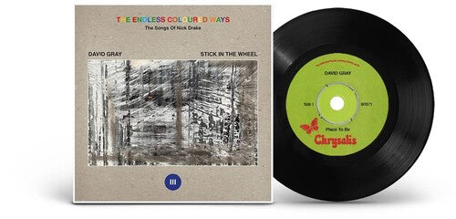 David Gray The Endless Coloured Ways: Las canciones de Nick Drake [Single de 7"] [Discos y LP]