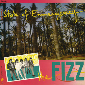 State Of Emmergency (Vinyl) - Apocalypse Vinyl