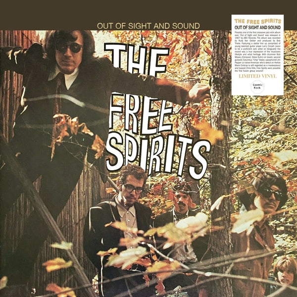 Out Of Sight And Sound (Vinyl)