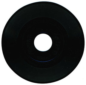 The Infesticons - Oop: Hero Theme 12" [Vinyl]