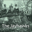 The Jayhawks Tomorrow the Green Grass [Vinyl] - Apocalypse Vinyl