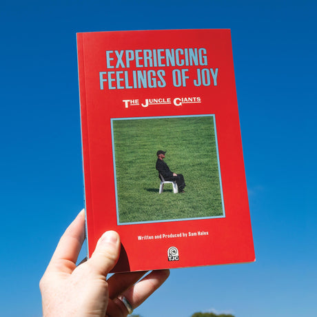 Experiencing Feelings Of Joy [Opaque Blue Vinyl] [Vinyl]