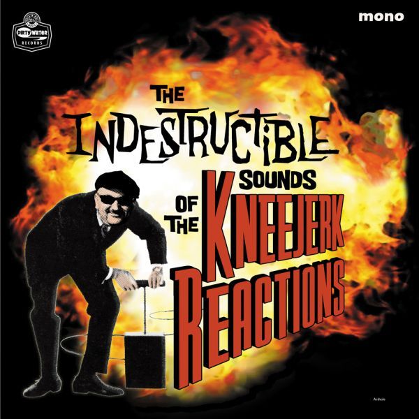 The Indestructible Sounds of (Vinyl)