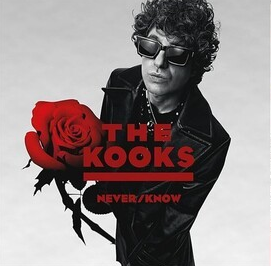 Never/ Know (Vinyl)