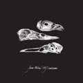 The Last Three Human Words (Demo) / Just Be Simple [Vinyl]