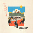 What A Time To Be Alive [LP] [Vinyl]