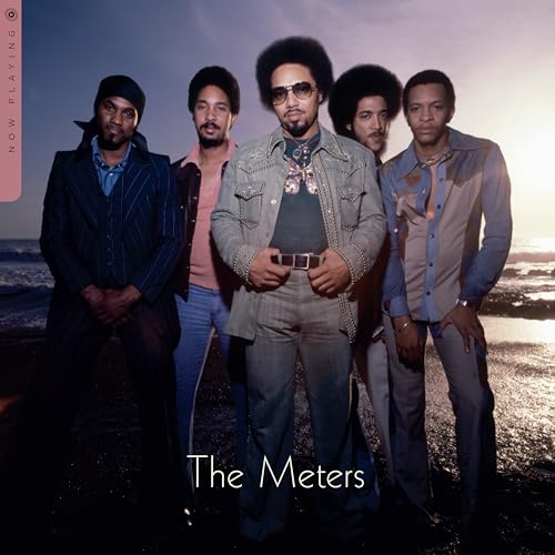 The Meters 正在播放 [唱片和 LP]