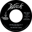 Before You Realize It B/W Cerebral Crack (Vinyl)