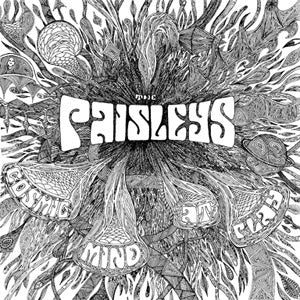 Cosmic Mind At Play (Vinyl) - Apocalypse Vinyl