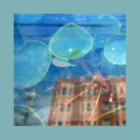 Acknowledge Kindness [CD]