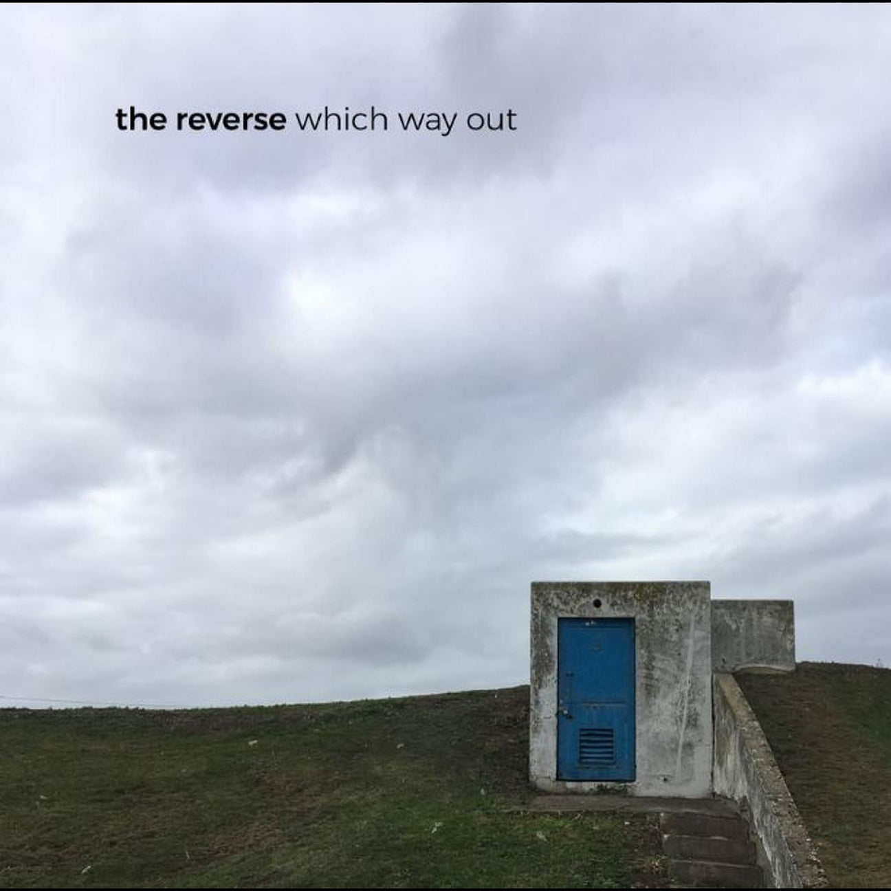 Which Way Out (Vinyl) - Apocalypse Vinyl