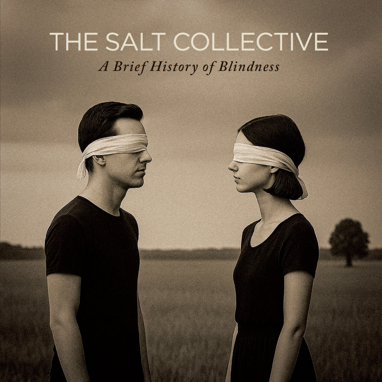 A Brief History Of Blindness (CD)