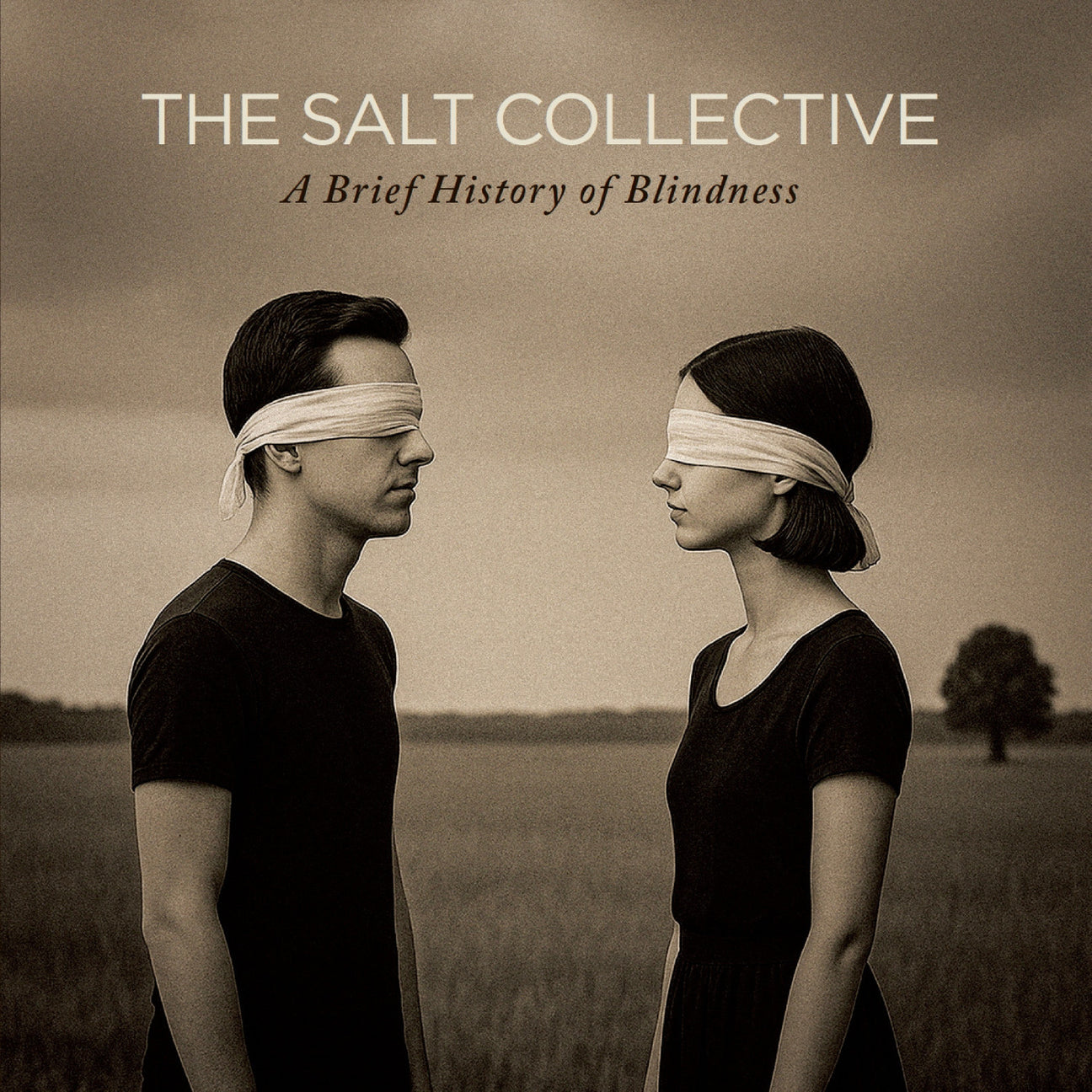 A Brief History Of Blindness (CD)