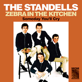 Zebra in the Kitchen / Someday You'll Cry (Vinyl) - Apocalypse Vinyl