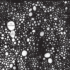 As Light Return [Vinyl]
