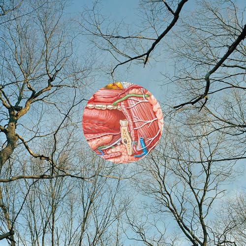 Glean (Vinyl)