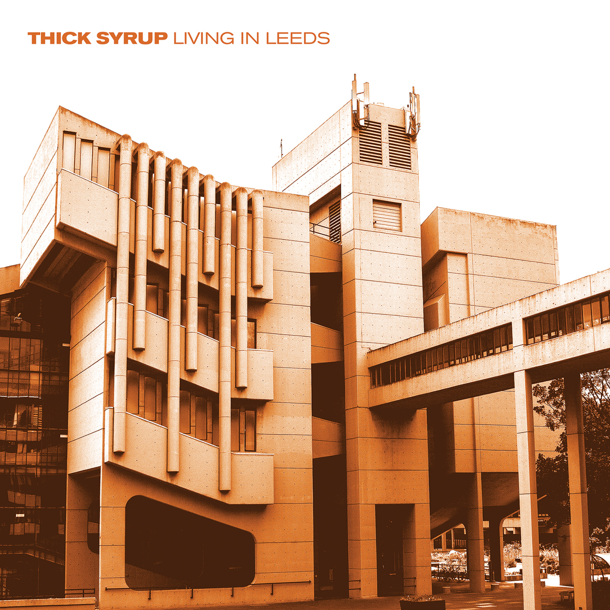 Living In Leeds (Vinyl)