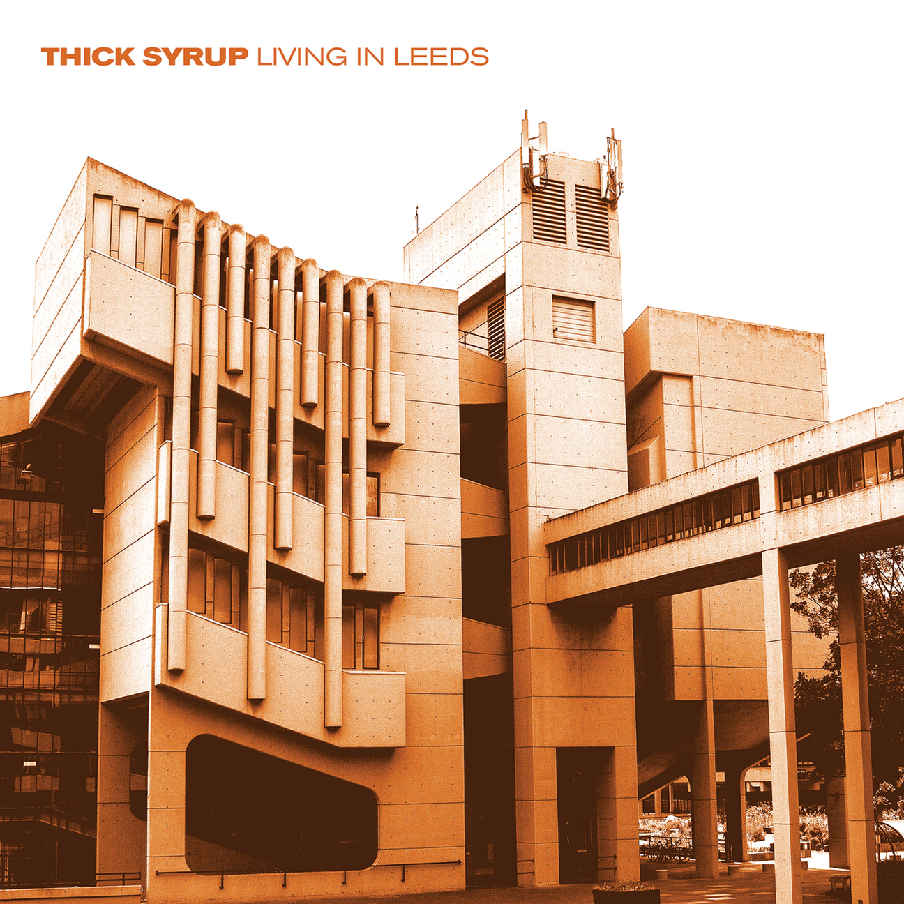 Living In Leeds (Vinyl) - Apocalypse Vinyl