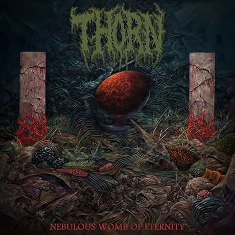 Nebulous Womb Of Eternity (CD)