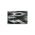 Emergency Stairway (Vinyl) - Apocalypse Vinyl