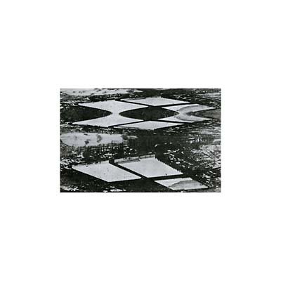 Emergency Stairway (Vinyl) - Apocalypse Vinyl