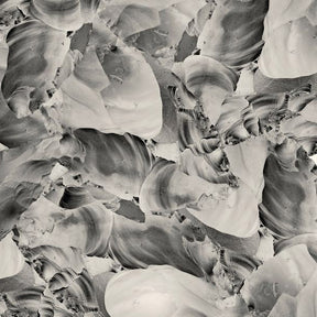 Ideas Of Aesthetics (Vinyl) - Apocalypse Vinyl