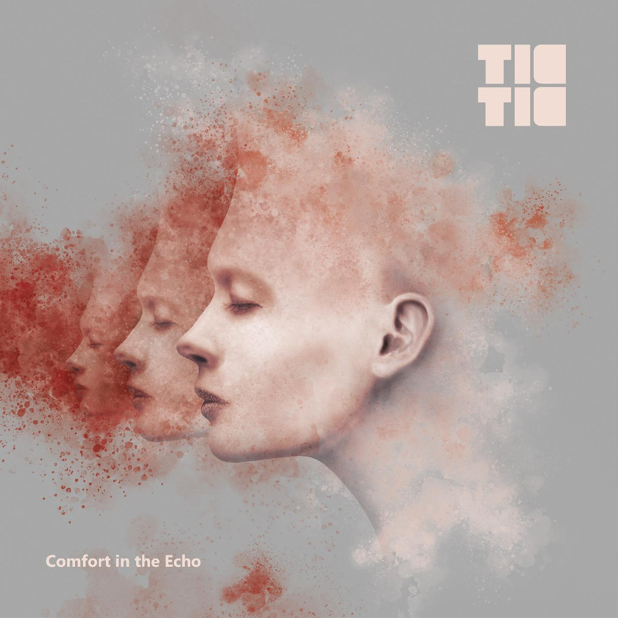 Comfort in Echo (CD)