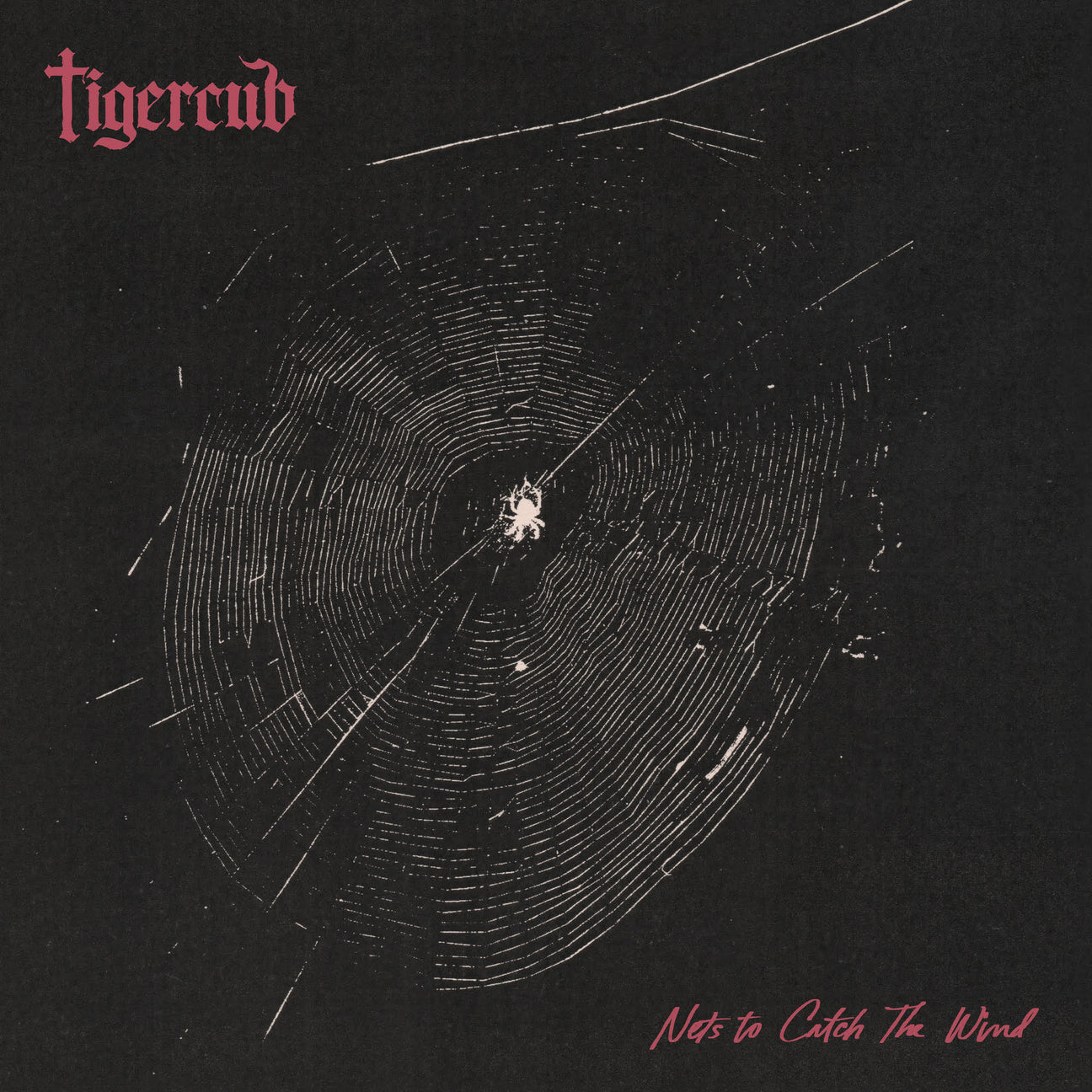 Nets To Catch The Wind (Indie Exclusive) [Graphite Vinyl] [Vinyl]
