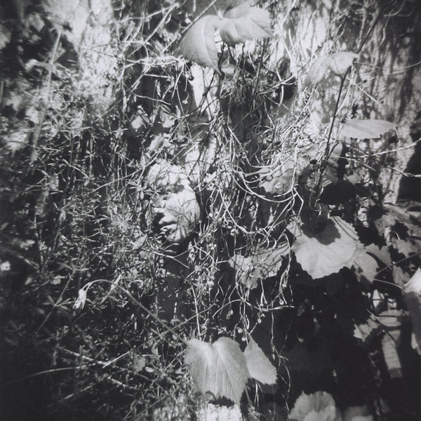 Now Is The Last Best Time (CD)